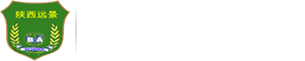 陕西远景|陕西远景保安|陕西远景保安服务有限公司